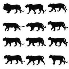 Big Cat Walking Silhouette Collection