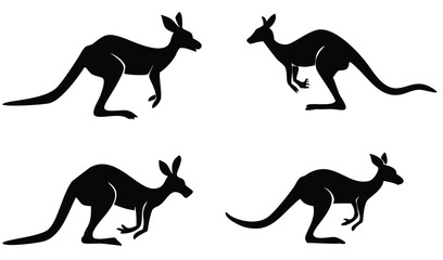 Kangaroo Silhouette Compilation
