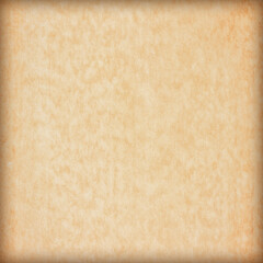 Old Paper texture. vintage paper background or texture; brown paper texture