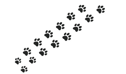 Animal Paw Prints Pattern