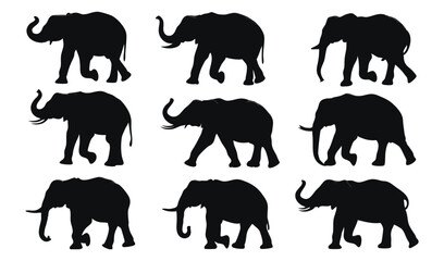 Elephant Silhouette Collection