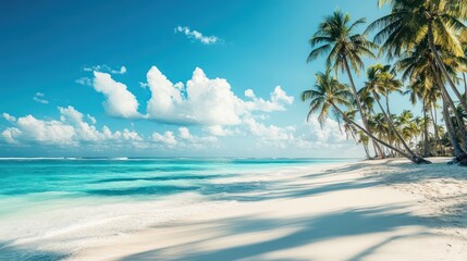 Tropical beach paradise (2)
