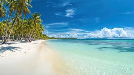 Fototapeta premium Tropical beach paradise (3)