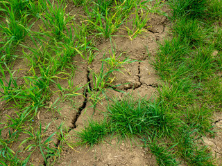 Risse im trockenen Ackerboden