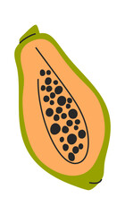 Papaya hand drawn exotic fruit