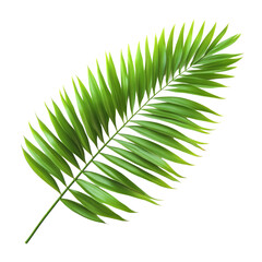Fototapeta premium Vibrant green palm leaf isolated on a transparent background showcasing its intricate structure and natural beauty, green palm leaf isolate on transparent backgroundfile