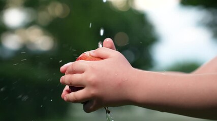 Little kid hands washing fresh ripe organic red apple with water flow outdoor at summer park closeup. Child arm finger cleaning seasonal vitamin juicy fruit healthy eating vegetarian dietary food - Powered by Adobe