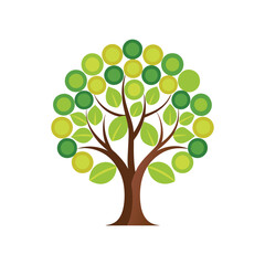 Obraz premium vector tree with green leaves