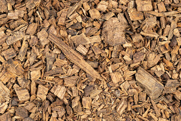 Texture of canary pine (Pinus canariensis) wood chips as background
