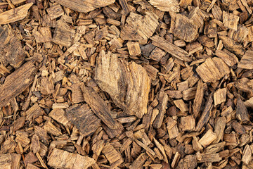 Texture of canary pine (Pinus canariensis) wood chips as background
