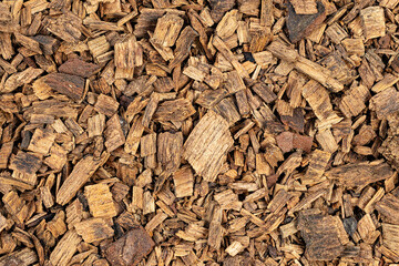 Texture of canary pine (Pinus canariensis) wood chips as background
