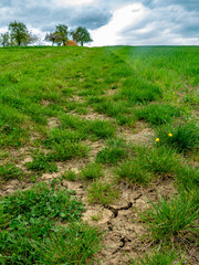Risse im trockenen Ackerboden
