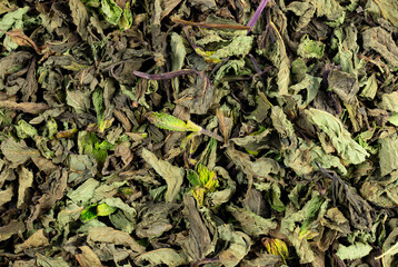 Peppermint (Mentha spicata) dried plant surface, close-up view