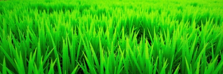 Naklejka premium Vibrant green grass texture, seamless pattern, meadow, greenery, vector