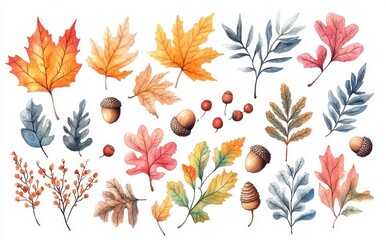 Watercolor Illustration of Autumn Leaves Acorns Berries Spruce Branch Seasonal Design Elements