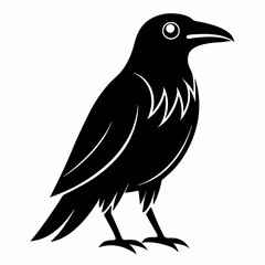 crow on a white background