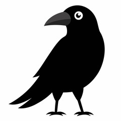 crow on a white background