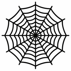 Obraz premium spider and web