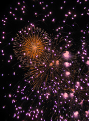 Fuegos artificiales de colores sobre fondo de noche