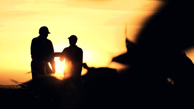 silhouette two farmers work tablet sunset, farming teamwork group people contract handshake agreement sunset corn wheat, couple farmland shining walking ground meeting brightly concept background - Powered by Adobe