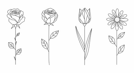 Minimalist Line Art of Rose, Tulip, and Daisy Flowers on White