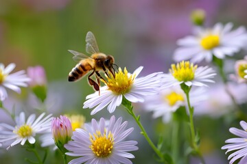 Obraz premium Bee collecting nectar from wildflower macro shot 