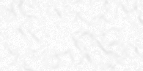 White topography topology vector white background fresh contour map texture. white seamless pattern Abstract background with a wave Topography and geography map grid abstract backdrop.