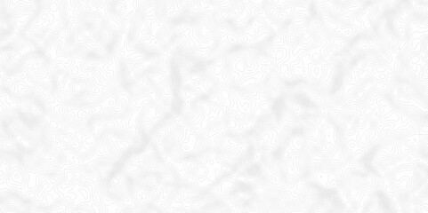 White topography topology vector white background fresh contour map texture. white seamless pattern Abstract background with a wave Topography and geography map grid abstract backdrop.