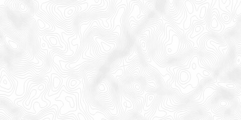 White topography topology vector white background fresh contour map texture. white seamless pattern Abstract background with a wave Topography and geography map grid abstract backdrop.