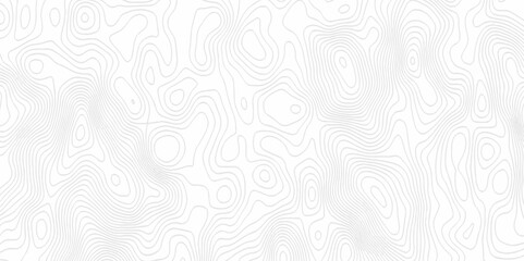 White topography topology vector white background fresh contour map texture. white seamless pattern Abstract background with a wave Topography and geography map grid abstract backdrop.