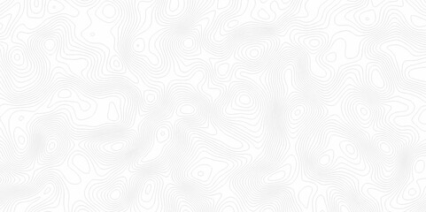 White topography topology vector white background fresh contour map texture. white seamless pattern Abstract background with a wave Topography and geography map grid abstract backdrop.