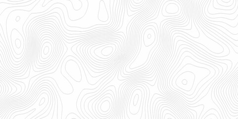 White topography topology vector white background fresh contour map texture. white seamless pattern Abstract background with a wave Topography and geography map grid abstract backdrop.