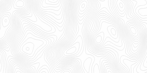 Fototapeta premium White topography topology vector white background fresh contour map texture. white seamless pattern Abstract background with a wave Topography and geography map grid abstract backdrop.