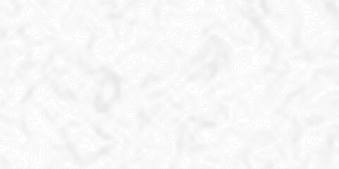 White topography topology vector white background fresh contour map texture. white seamless pattern Abstract background with a wave Topography and geography map grid abstract backdrop.