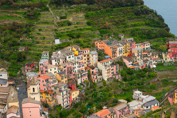Fototapeta premium Colorful view of Manarola from above, Cinque Terre, Italy