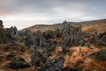 Obraz premium Lava formation of Arnastapi, Iceland