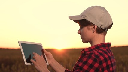 Agriculture has come long adoption digital technologies. man, owner smart farm, looks out sunset overseeing harvesting crops. old agronomist developed concept ecoculture works alongside engaged farmer