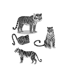 Cartoon Tiger Vector Set