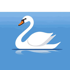 Obraz premium White-swan-in-blue-water-with-reflection