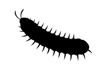 Fototapeta premium Silhouette Of A Centipede Crawling With Many Legs Isolated On White Background Illustration For Education And Nature, centipede, silhouette, insect, vector, animal, bug, black, white, graphic, nature
