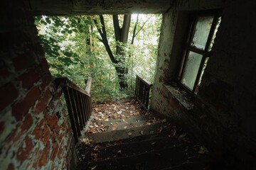 Derelict Stairway Descending into Nature, Overgrown Foliage Visible From Entrance