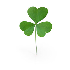 Obraz premium Three Leaf Clover Transparent Background