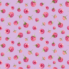 Watercolor seamless pattern with Raspberries and blackberries. Hand drawing illustration red berries. Graphic design element isolated on white background.