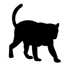 panther, tiger silhouette on white background vector