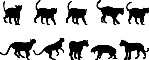 set of silhouettes jaguars, cheetahs vector