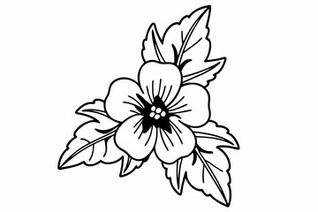 black and white flowers