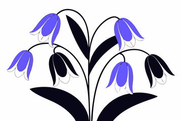 snowdrop flowers vector