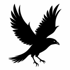 eagle vector illustration