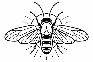 bee vector illustration