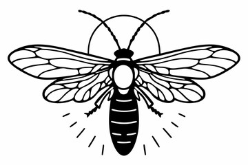 black and white butterfly vector